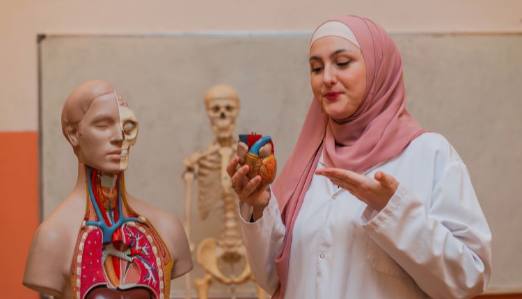anatomy teacher stands next to an anatomy model and holds the model heart